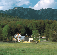 Era investitiilor speculative se apropie de final